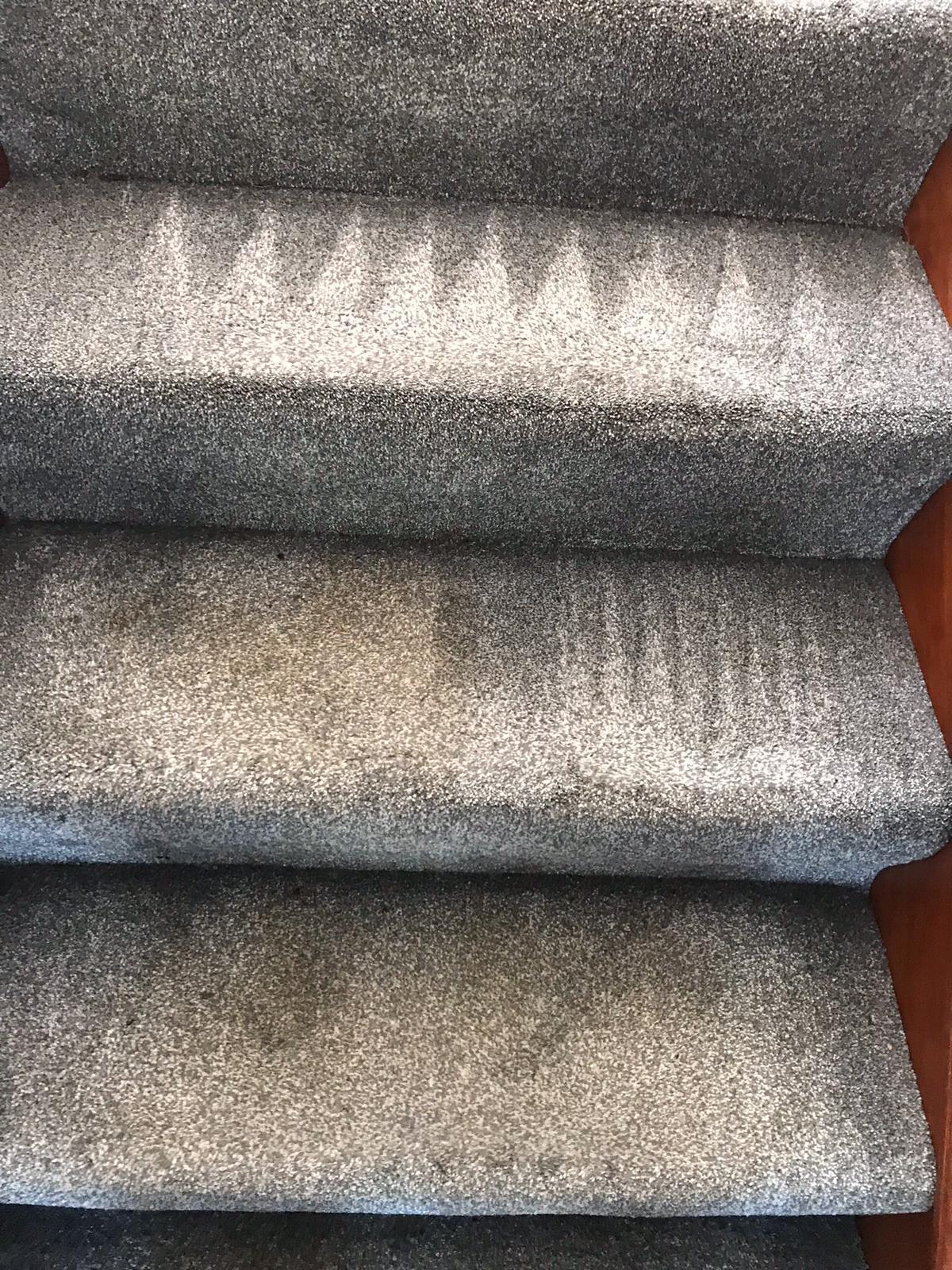 What’s In A Dirty Carpet?