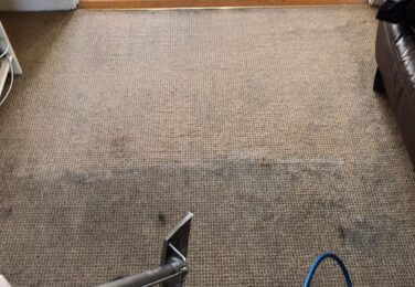 Water Damaged Carpeting – How To Deal With It