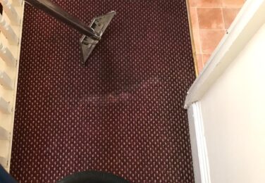 Getting Rid Of Carpet Contaminants