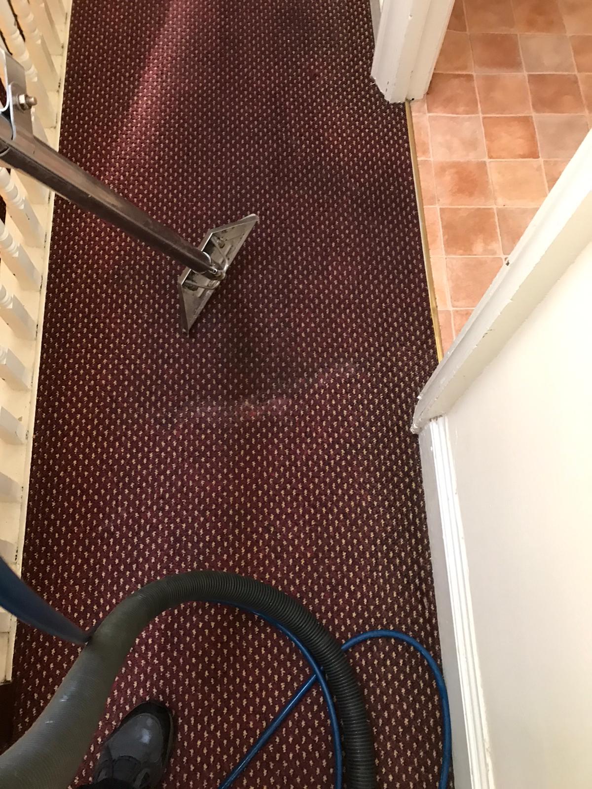 Getting Rid Of Carpet Contaminants