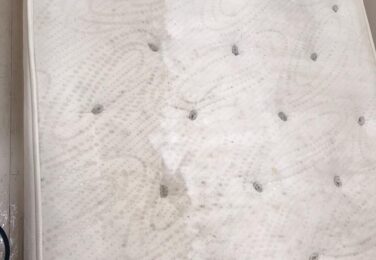 Hire Professionals To Clean Your Mattress