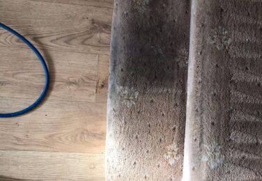 Troubles That Come With DIY Carpet Cleaning