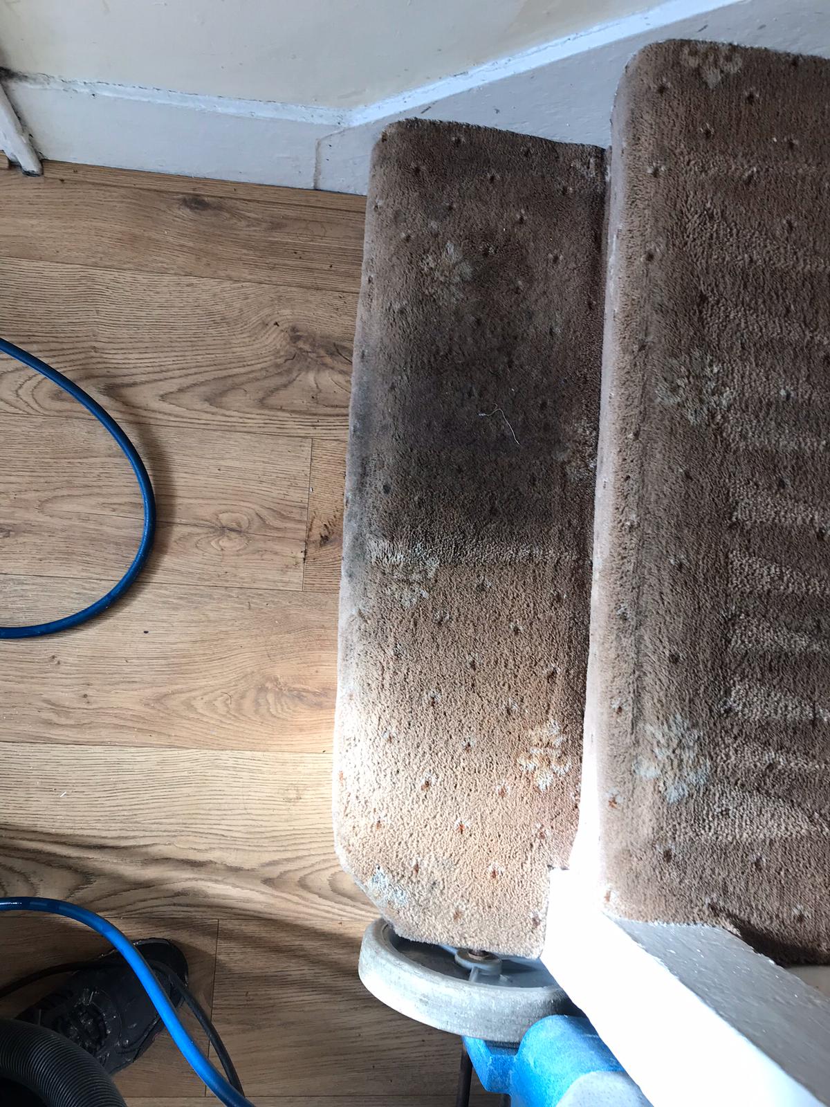 Troubles That Come With DIY Carpet Cleaning