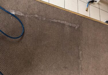 Creating A Healthier Workspace With Commercial Carpet Cleaning Services