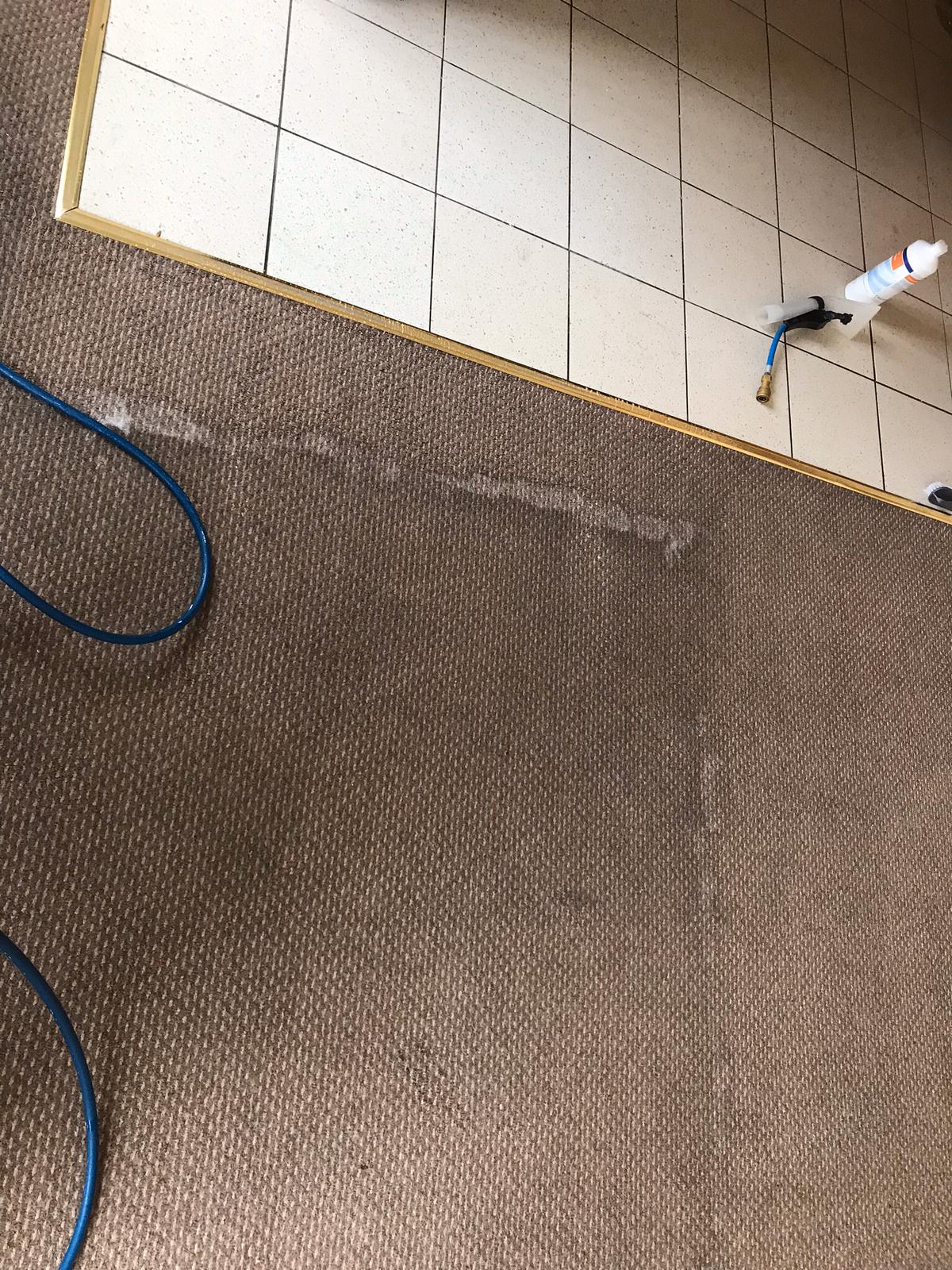 Creating A Healthier Workspace With Commercial Carpet Cleaning Services