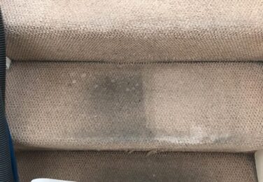 How Dirt Ruins Your Carpet