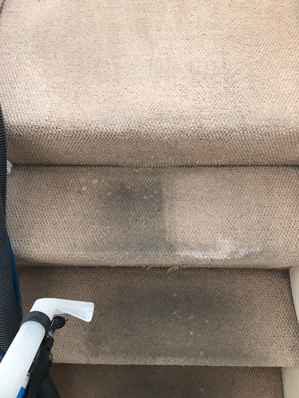 How Dirt Ruins Your Carpet