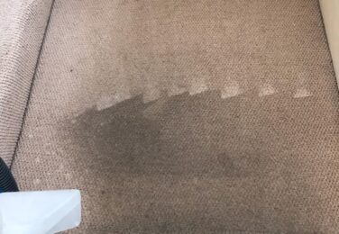 Local Carpet Care Services