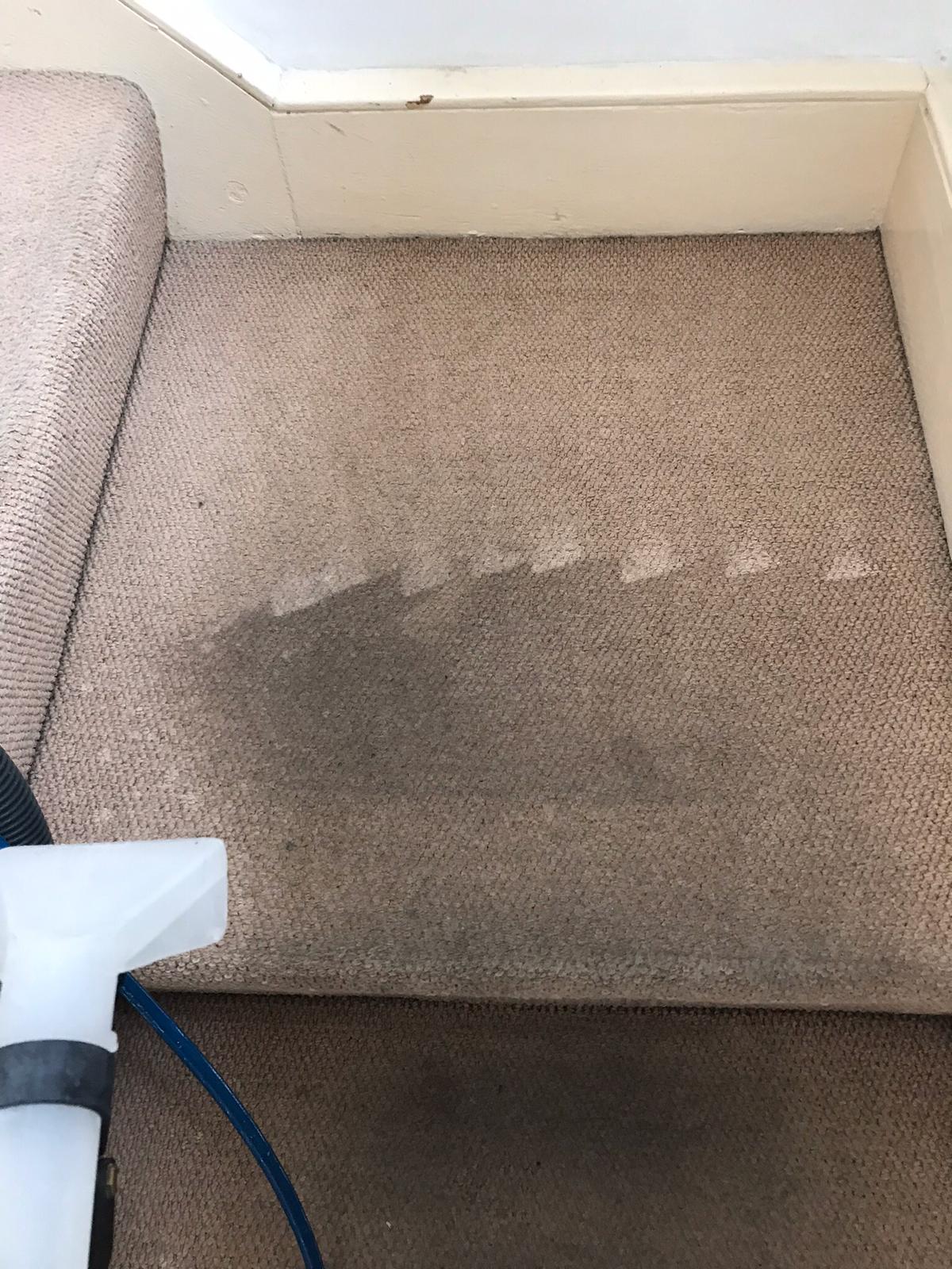 Local Carpet Care Services