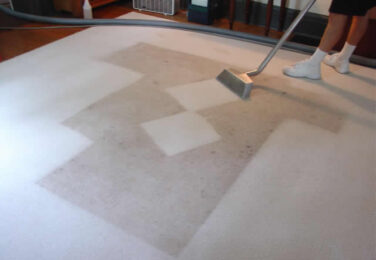 Rug Cleaning And Maintenance