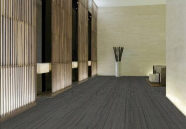 Stain Problems On Your Carpet? We’ll Deal With Them