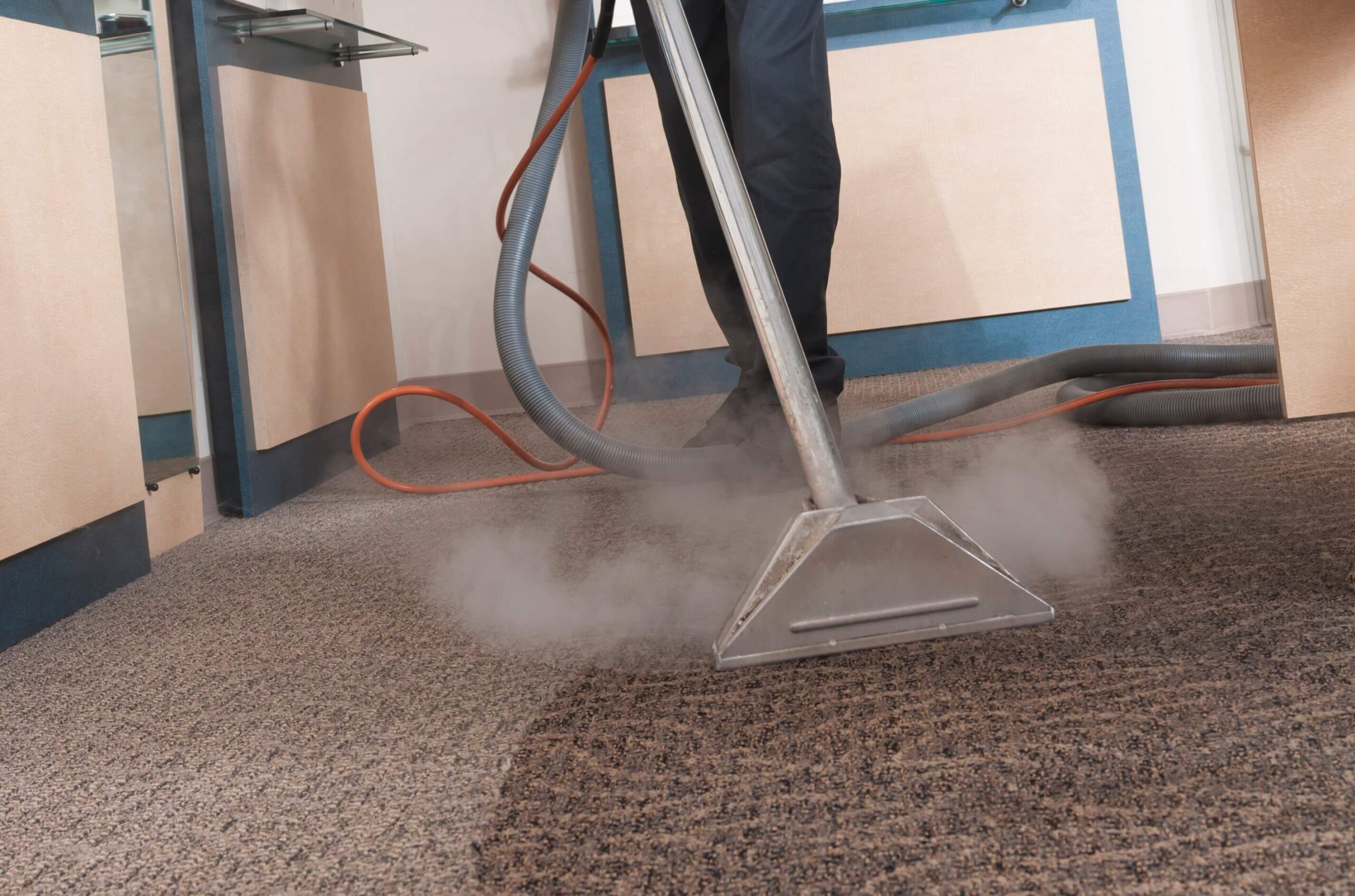 6 Different Types Of Carpet Materials And Their Cleaning Needs