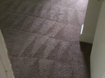 Your Carpet Needs More Than Just Vacuuming