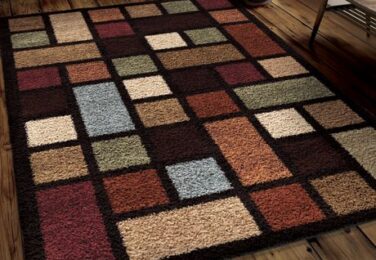Dangers Of Mould Growth In Your Carpet