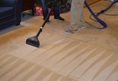 Do You Still Believe These Carpet Care Myths? 