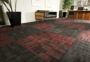 9 Ways To Keep Your Carpet Looking Pristine Before Your Next Professional Cleaning Session