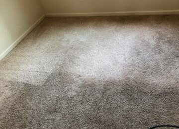 Keeping Your Carpet Clean While You’re Out On Vacation