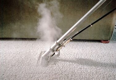 10 Key Carpet Cleaning Questions To Ask