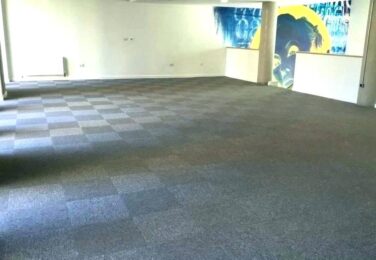 A Beginner’s Guide To Professional Carpet Cleaning