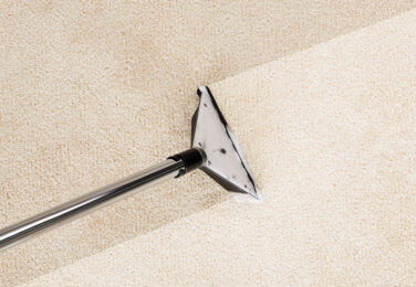 Why Should You Get Your Carpet Professionally Cleaned?