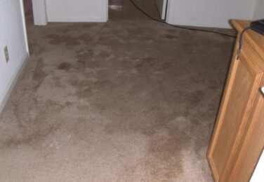 Carpet Drying Time: Why It Is Important
