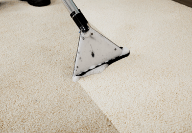 Keeping Your Carpet Clean And Healthy