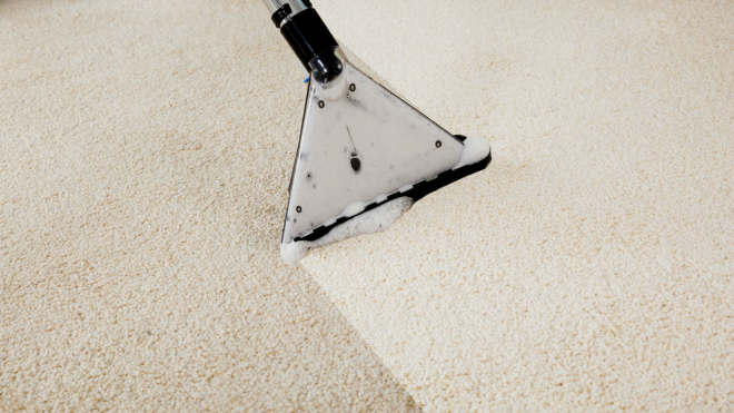 Keeping Your Carpet Clean And Healthy
