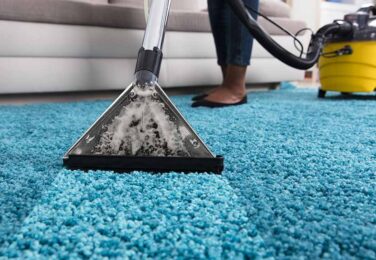 5 Reasons Why You Should Have Your Carpet Cleaned Professionally