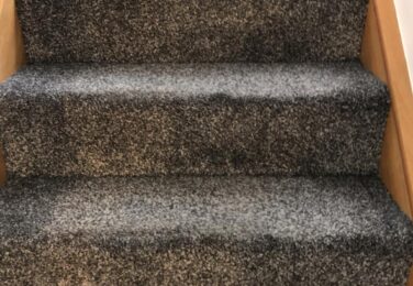 Why You Should Look Into Getting Your Carpet Cleaned By The Professionals