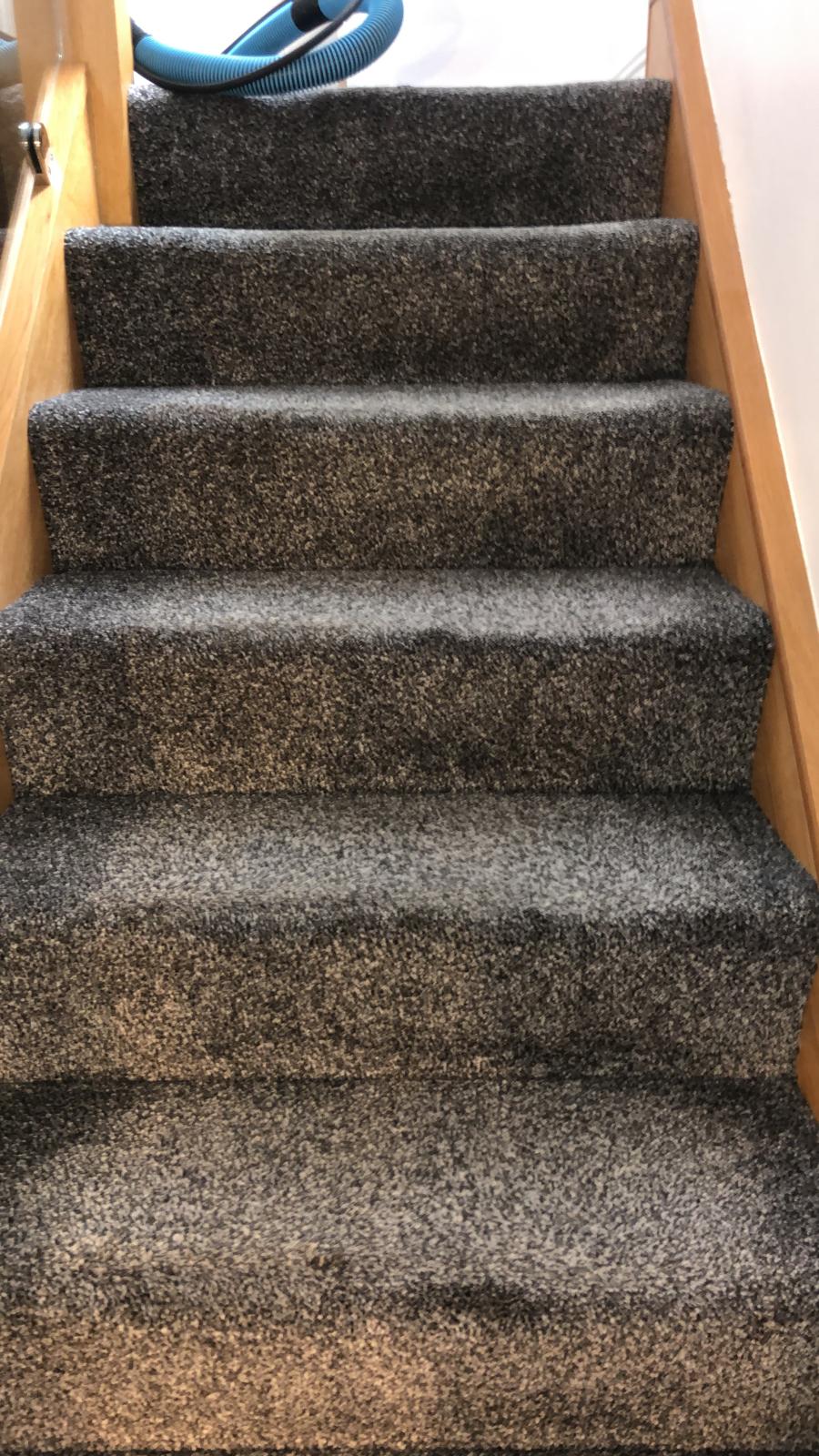 Why You Should Look Into Getting Your Carpet Cleaned By The Professionals