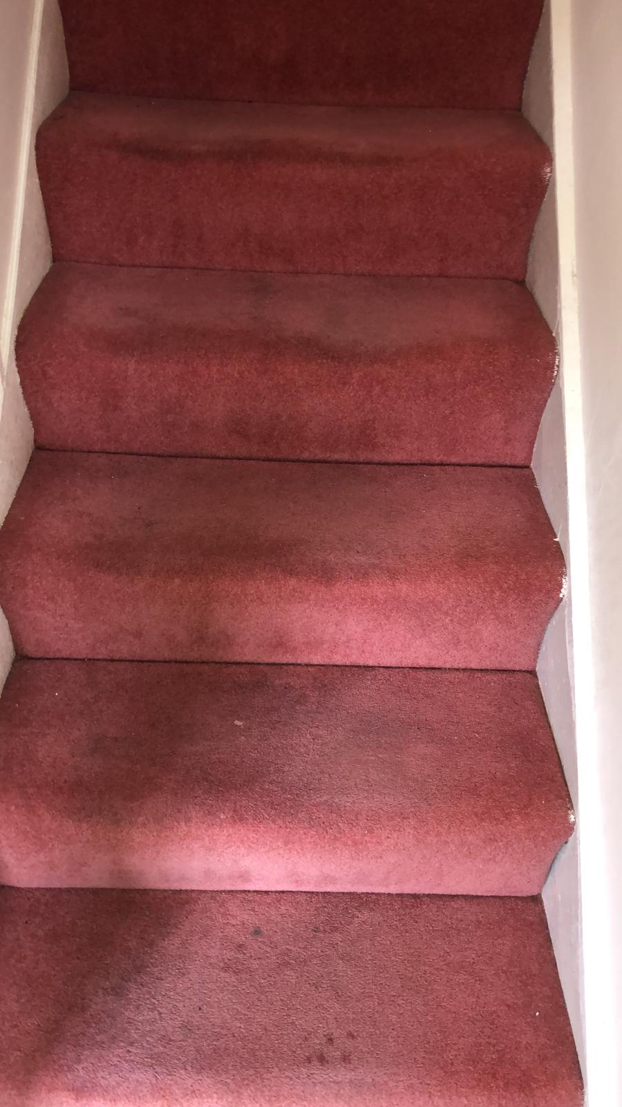 Save Your Carpet From Sliding To Ruin