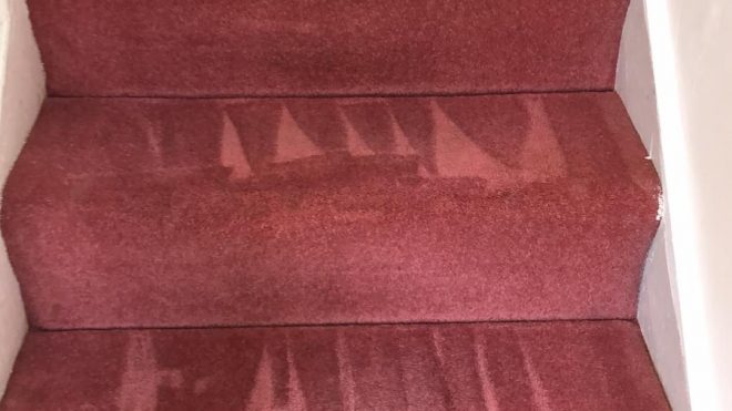 Reasons Why You Should Get Professional Carpet Cleaning Services