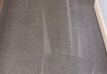 Why Getting Professional Carpet Cleaning Services Is Important