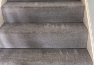 Reasons To Hire A Professional Carpet Cleaner For The Holidays
