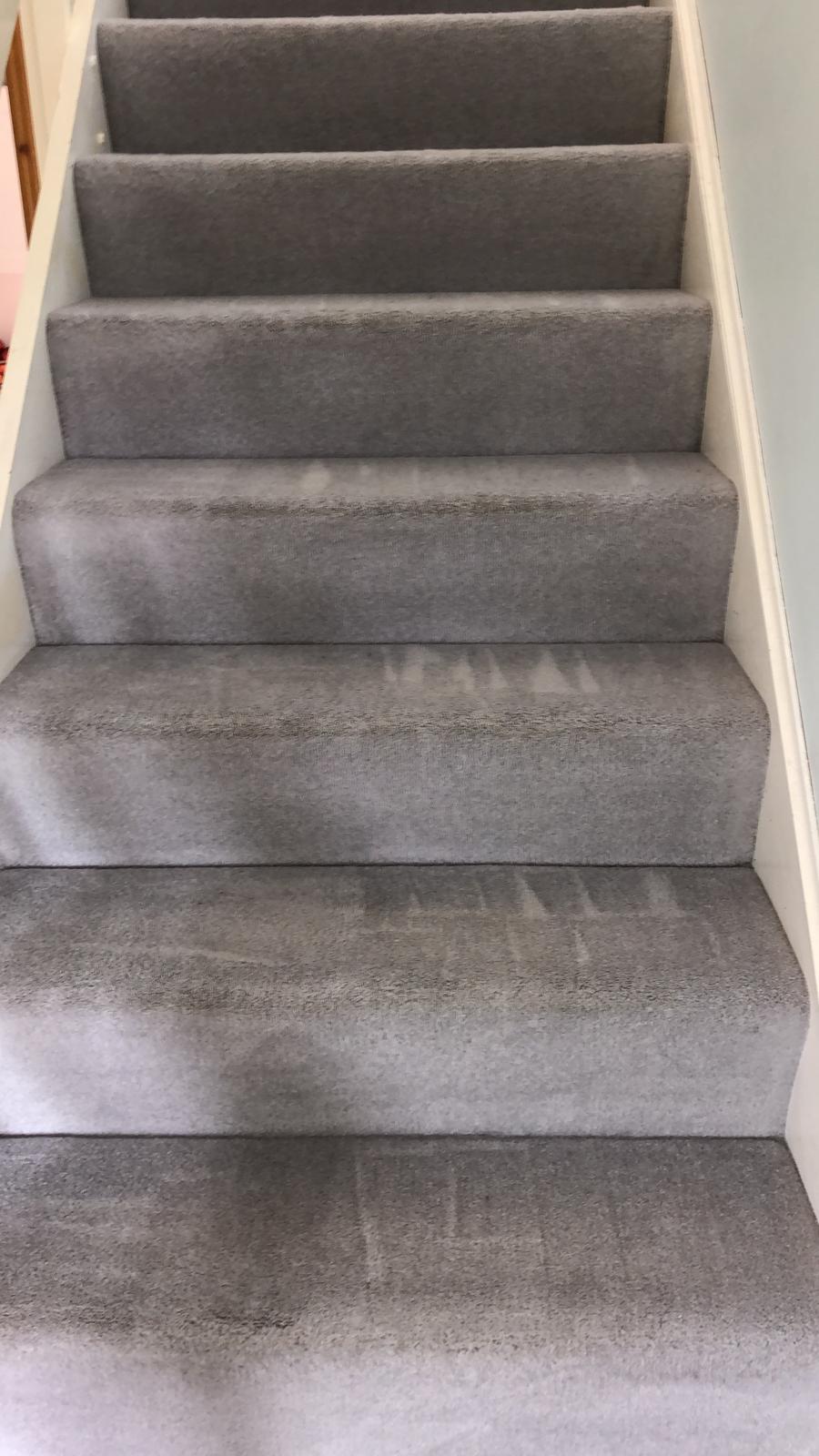 Reasons To Hire A Professional Carpet Cleaner For The Holidays