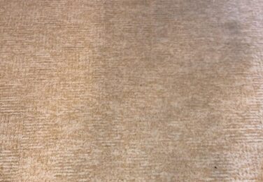 Take Care Of Your Carpet With Routine Cleaning Services