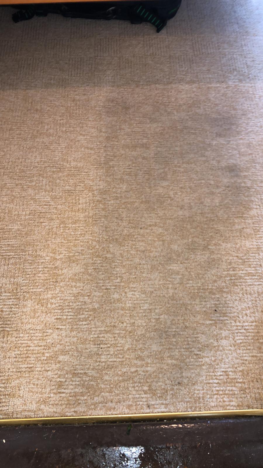 Take Care Of Your Carpet With Routine Cleaning Services