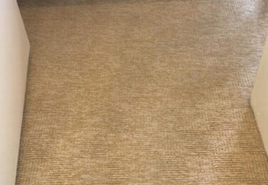 Ways That Carpet Cleaning Benefits You
