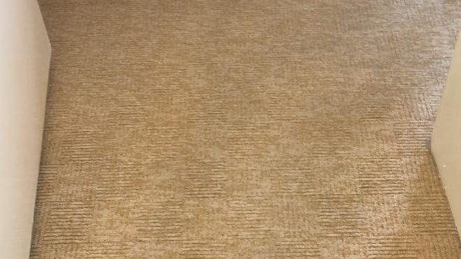 Ways That Carpet Cleaning Benefits You
