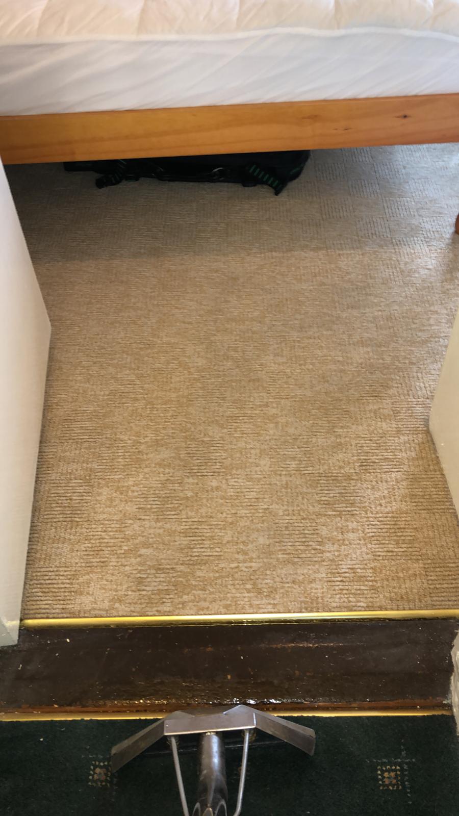 Ways That Carpet Cleaning Benefits You