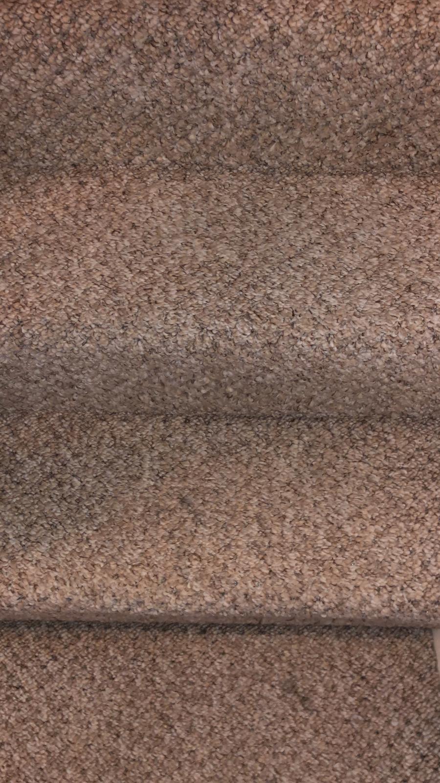 Spruce Up Your Office With Quality Carpet Cleaning Services