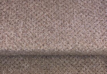 Comparing Different Carpet Cleaning Methods