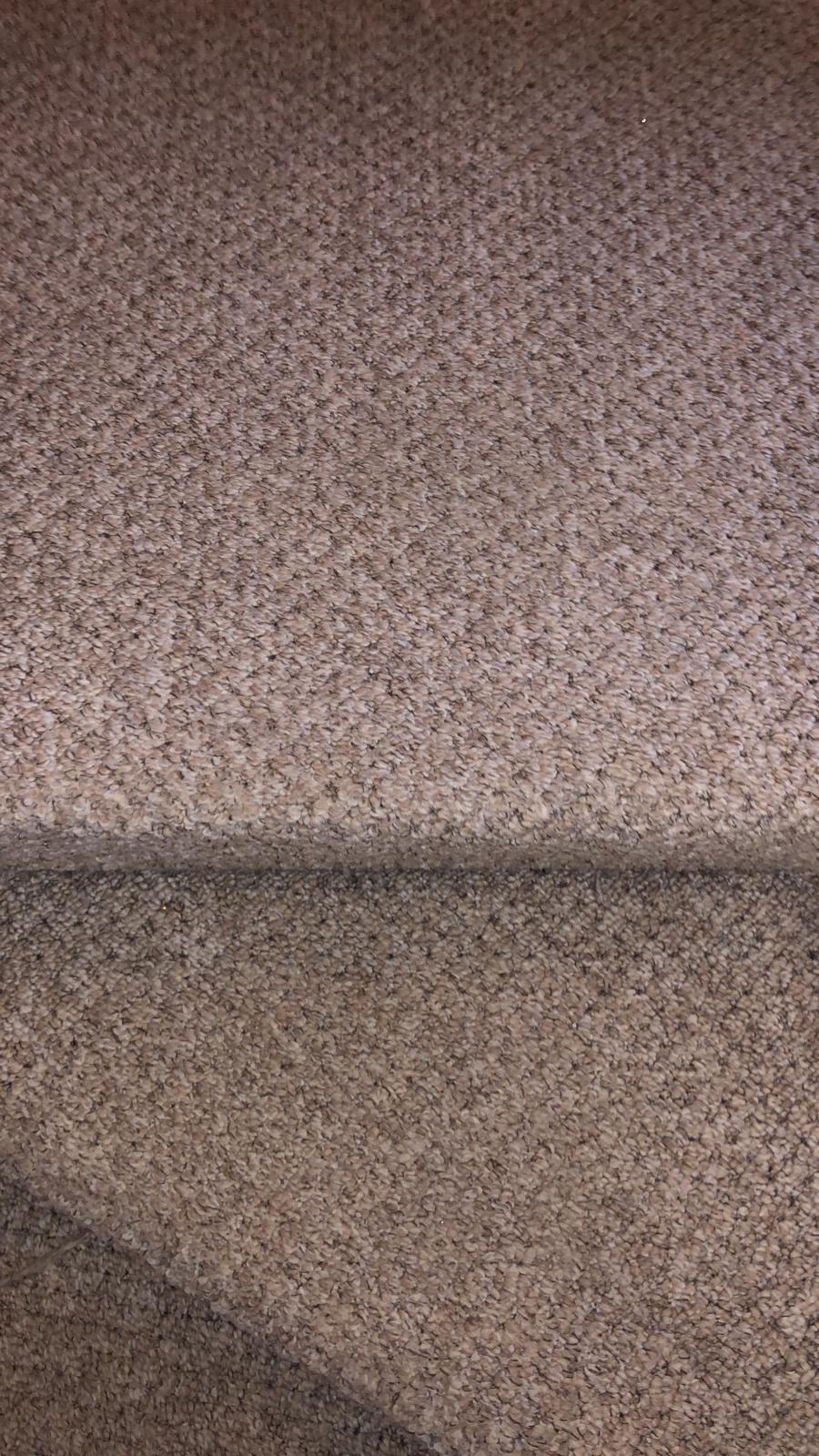 Comparing Different Carpet Cleaning Methods