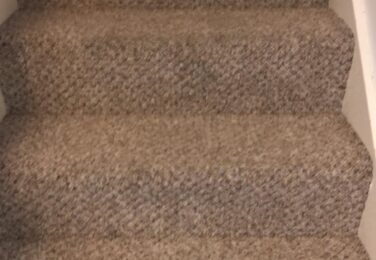 Questions To Ask The Carpet Cleaners
