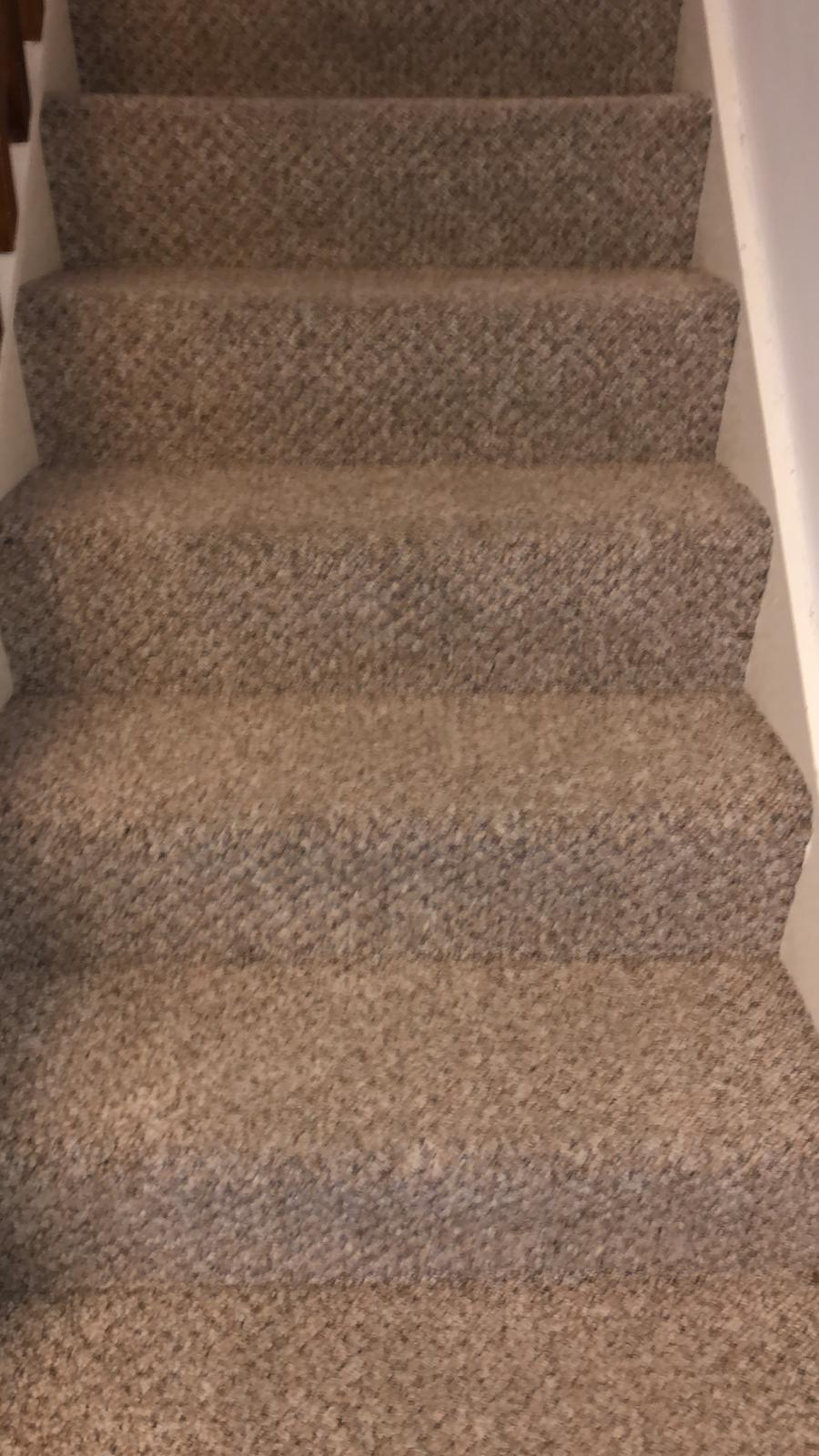 Questions To Ask The Carpet Cleaners
