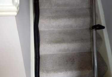 Keeping Your Carpet In Shape With Quality Cleaning Services