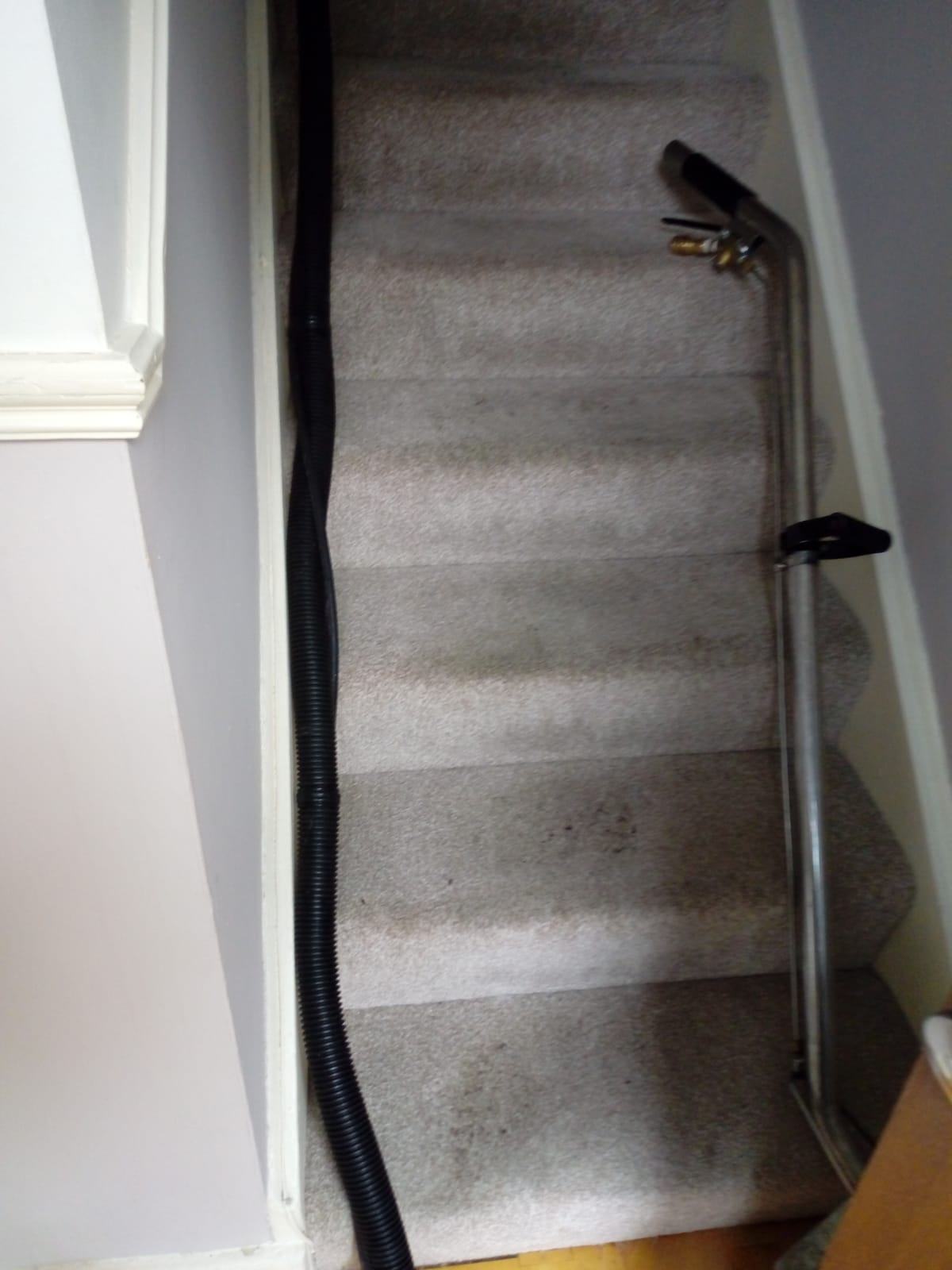 Keeping Your Carpet In Shape With Quality Cleaning Services