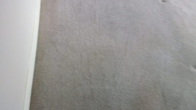 Carpet Care And Why You Should Hire Experts For The Cleaning