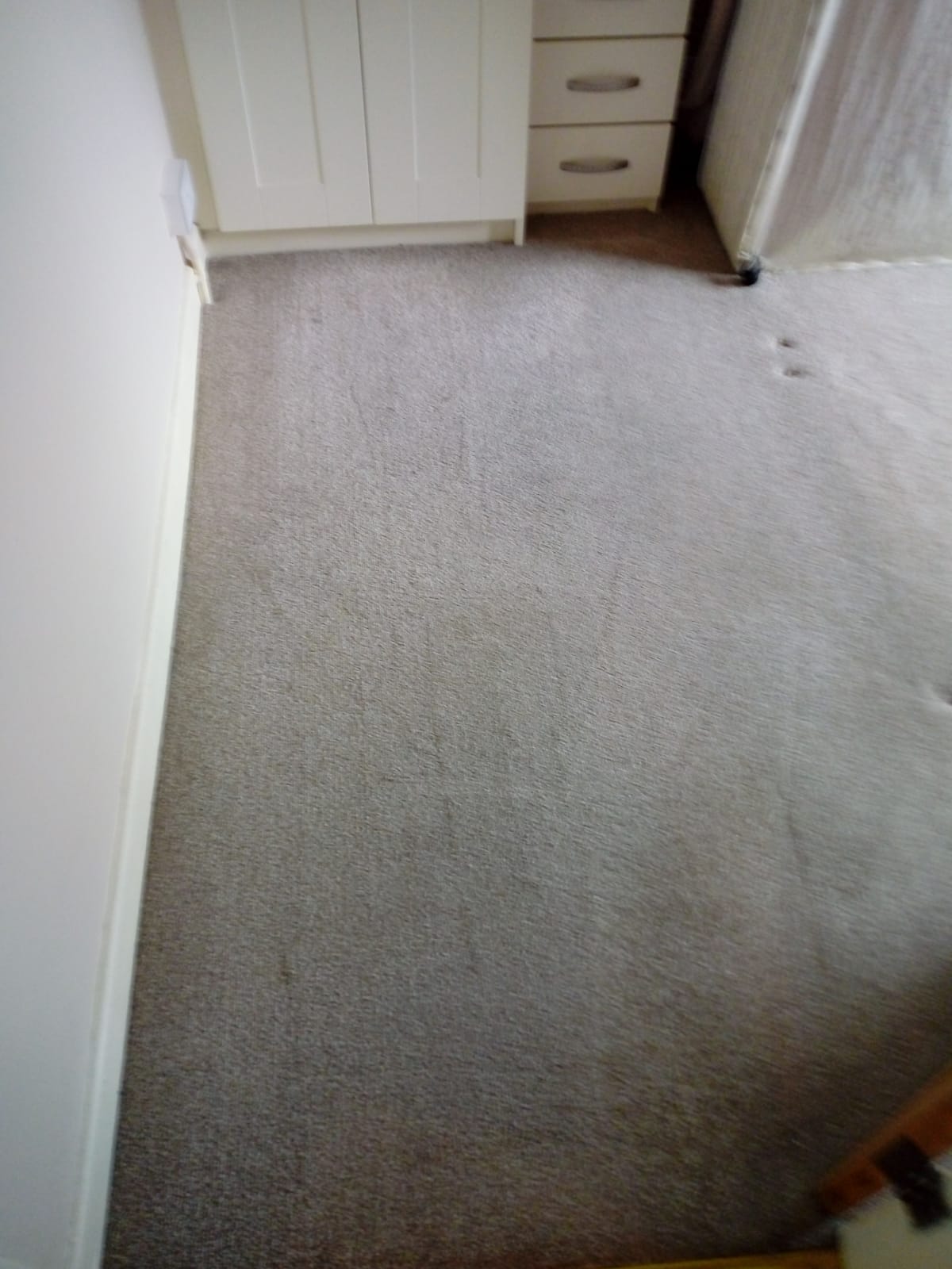 Carpet Care And Why You Should Hire Experts For The Cleaning