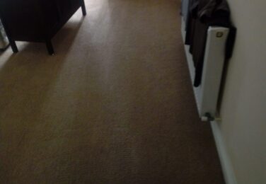 A Look At Some Of The Myths Concerning Carpet Cleaning